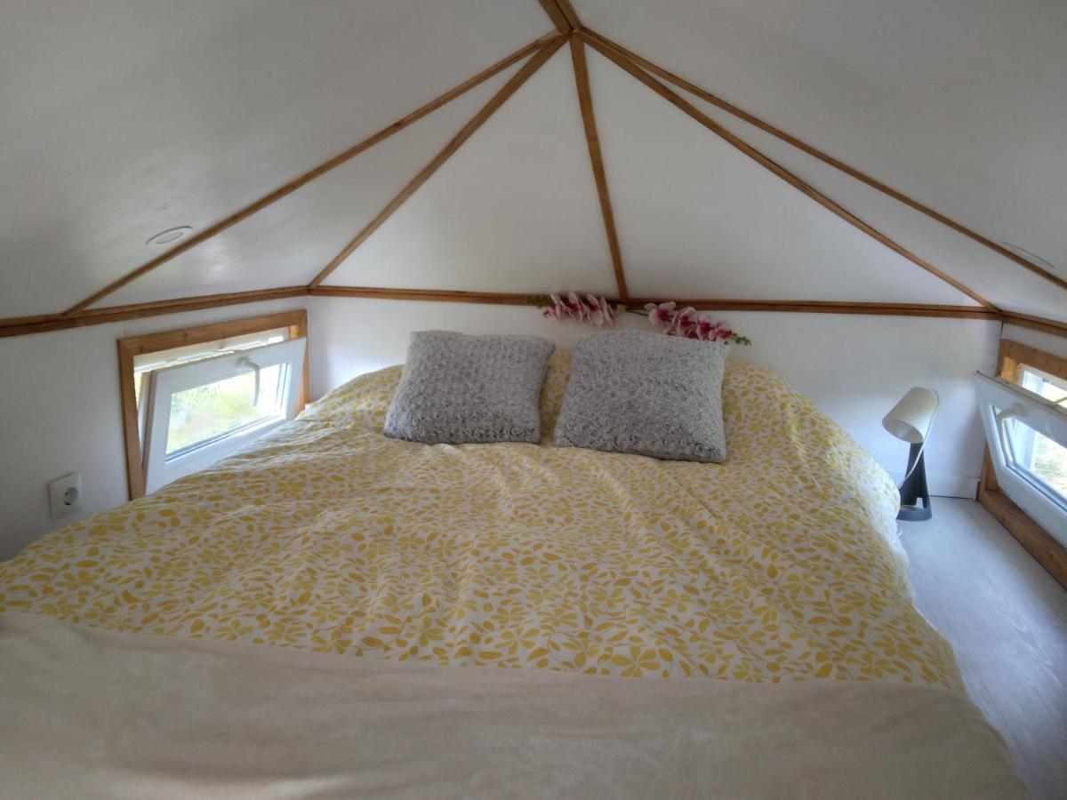 Tiny House Cluj With Jacuzzi Villa Sinnicoara ภายนอก รูปภาพ