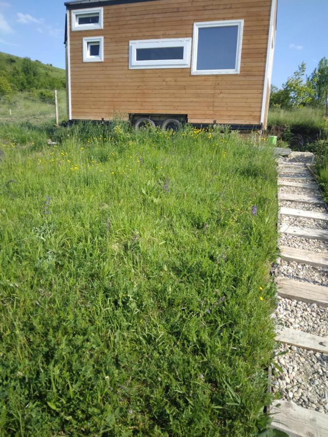 Tiny House Cluj With Jacuzzi Villa Sinnicoara ภายนอก รูปภาพ