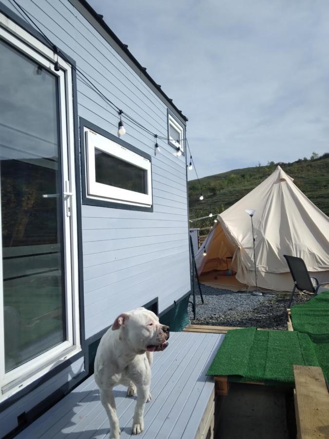 Tiny House Cluj With Jacuzzi Villa Sinnicoara ภายนอก รูปภาพ
